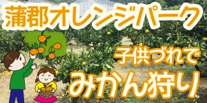 gamagori-orange-park