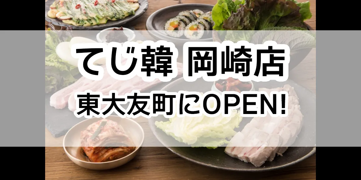 tejihan-okazaki-open