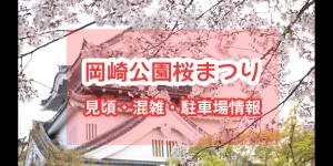 okazaki-cherry-blossom