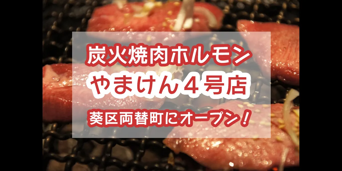 charcoal-grilled-meat-hormone-yamaken4-aoiku-ryogaecho