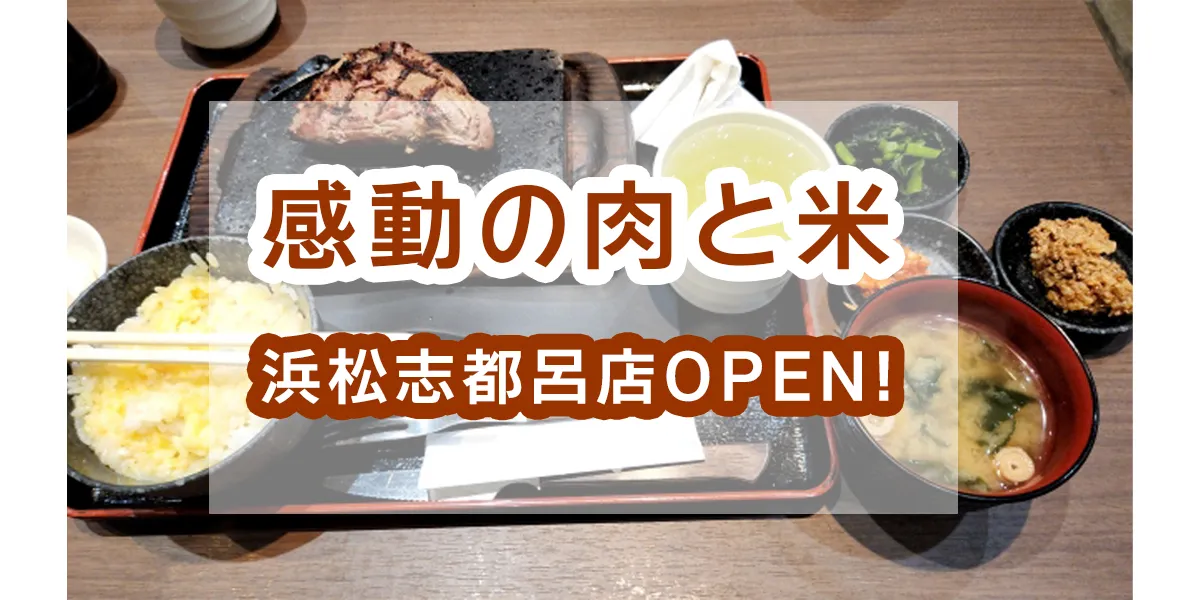 Amazing meat and rice-hamamatsu-shitoro